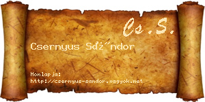 Csernyus Sándor névjegykártya
