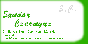 sandor csernyus business card